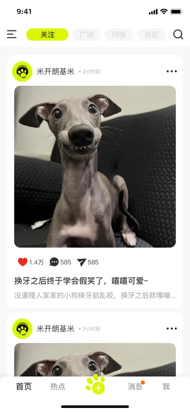 摇爪宠物社区关注页